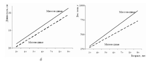Линии тренда средних значений в разные по водности годы: а - массы; б - длины тела пеляди