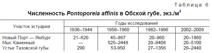 Численность Pontoporeia affinis в Обской губе, экз.м2