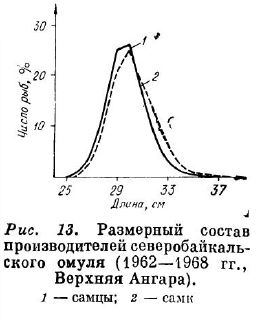 Размерный состав полов для обеспечения высокого производителей северобайкальского омуля (1962—1968 г