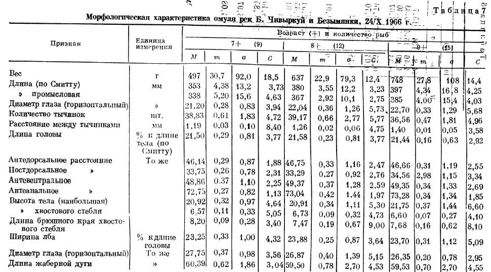 Морфологическая характеристика омуля рек Б. Чивыркуй и Безымянки, 24јX 1966 г.,