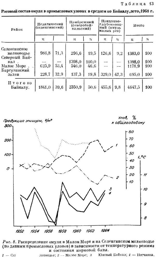 Расовый состав омуля в промысловых уловах в среднем по Байкалу,лето,1968 г.