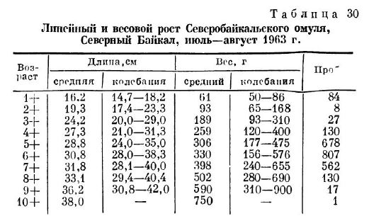 Линейный и весовой рост Северобайкальского омуля, Северный Байкал, июль-август 1963 г.