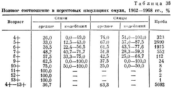 Половое соотношение в нерестовых популяциях омуля, 1962—1968 гг., %