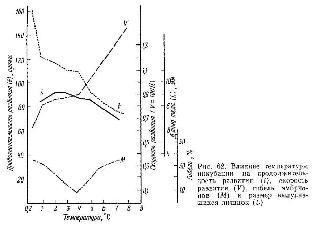 Влияние температуры инкубации на продолжительность развития (!), скорость развития (V), гибель эмбрио нов (М) и размер вылупившихся личинок (L) 