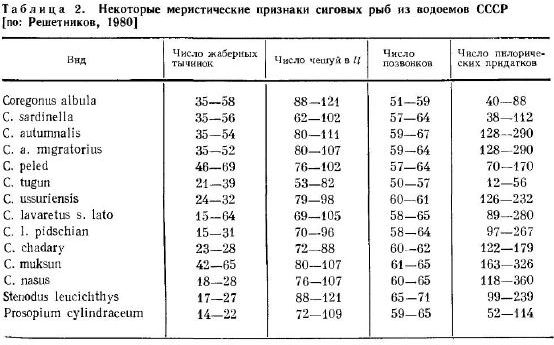 Некоторые меристические признаки сиговых рыб из водоемов СССР