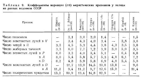 Коэффициенты вариации (со) меристических признаков у пеляди из разных водоемов СССР