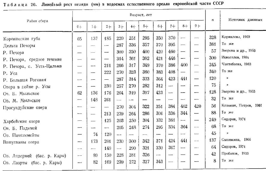 Линейный рост пеляди (мм) в водоемах естественного ареала европейской части СССР