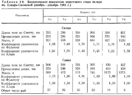 Биологические показатели нерестового стада пеляди 03. Ендырь-Согомский (ноябрь-декабрь 1984 