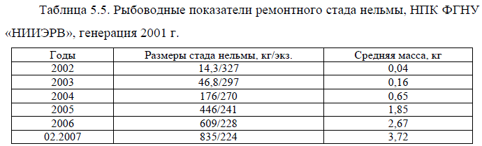 Рыбоводные показатели ремонтного стада нельмы, НПК ФГНУ «НИИЭРВ», генерация 2001 г.