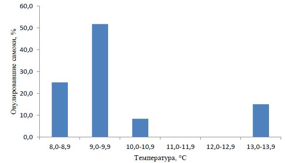 Процент самок, отдавших икру при разных температурных условиях, р. Мана, май, 2014 г.