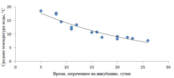 Длительность инкубации икры сибирского хариуса (сутки) в водах р. Енисей, Мана, 2010-2012, 2014 гг.
