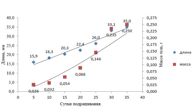 Динамика линейного (мм) и весового (г) роста молоди сибирского хариуса при подращивании в условиях ВРК, р. Енисей, Мана, 2010-2012, 2014 гг.