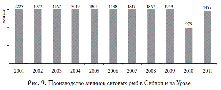 Производство личинок сиговых рыб в Сибири и на Урале
