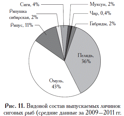 Производство личинок сиговых рыб в Сибири и на Урале3