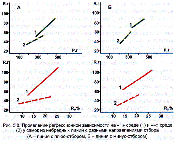 Проявление регрессионной зависимости на «+» среде (1) и «-» среде та (2) у самок из инбредных линий с разными направлениями отбора