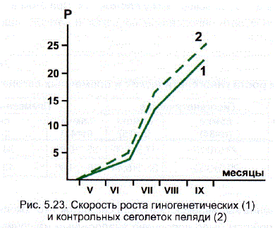 Скорость роста гиногенетических (1) и контрольных сеголеток пеляди (2)