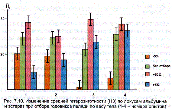 Изменение средней гетерозиготности (H3) по локусам альбумина и эстераз при отборе годовиков пеляди по весу тела (1-4 – номера опытов)