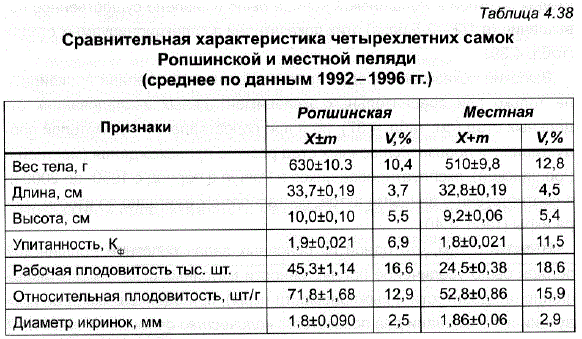 Сравнительная характеристика четырехлетних самок Ропшинской и местной пеляди (среднее по данным 1992-1996 гг.)