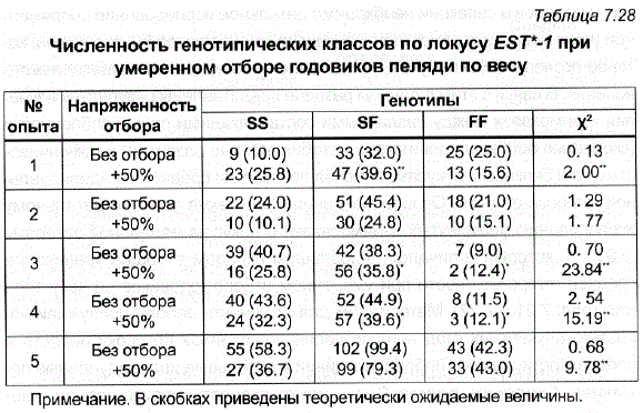 Численность генотипических классов по локусу EST*-1 при умеренном отборе годовиков пеляди по весу