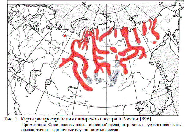 Карта распространения сибирского осетра в России