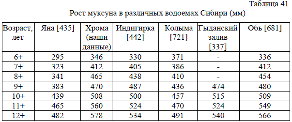 Рост муксуна в различных водоемах Сибири (мм)