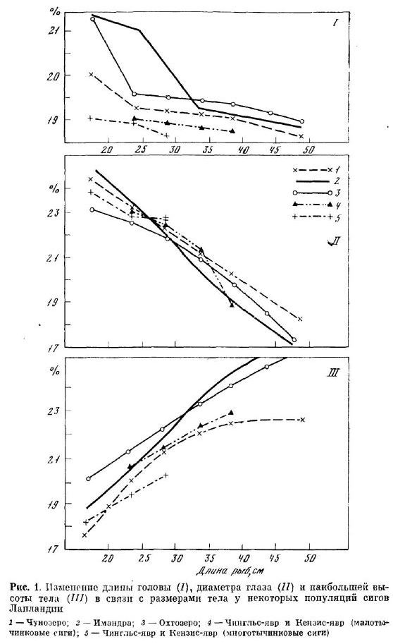Изменение длины головы (1), диаметра глаза (II) и наибольшей высоты тела (II) в связи с размерами тела у некоторых популяций сигов Лапландии