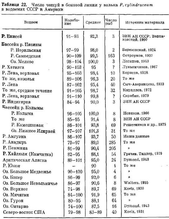 Число чешуй в боковой линии у валька P. cylindraceи т. в водоемах СССР и Америки
