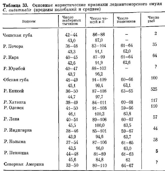 Основные меристические признаки ледовитоморского омуля C. autumnalis (пределы колебаний и среднее) 