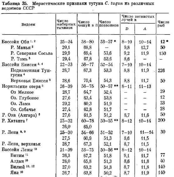 Меристические признаки тугуна С, tugun из различных водоемов СССР