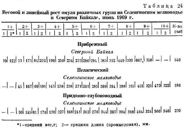 Весовой и линейный рост омуля различных групп на Селенгинском мелководье и Северном Байкале, июнь 1969 г.