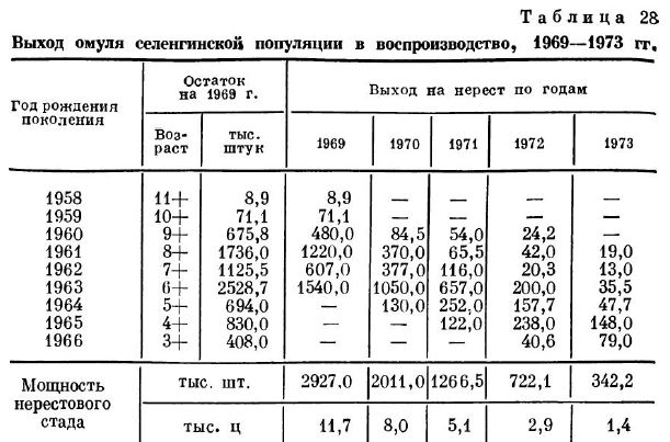 Выход омyля селенгинской популяции в воспроизводство, 1969--1973 гг,