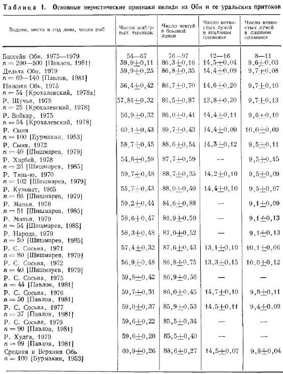 Основные меристические признаки пеляди из Оби и ее уральских притоков