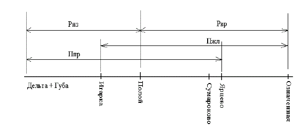 Схема локализации форм осетра в р. Енисее