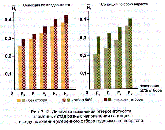 Динамика изменения гетерозиготности Племенных стад разных направлений селекции в ряду поколений умеренного отбора годовиков по весу тела