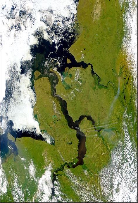Космический снимок Ямало-Гыданской географической области, в том числе Обь-Тазовской устьевой области.