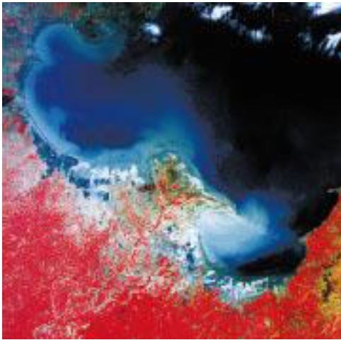 Вынос взвешенного материала и осадков в Желтое море водами р. Хуанхе. Снимок NASA