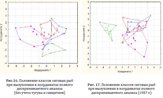 Положение классов сиговых рыб при вылуплении в координатах полного дискриминантного анализа