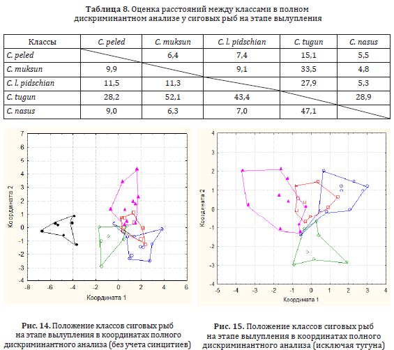 Положение классов сиговых рыб на этапе вылупления в координатах полного дискриминантного анализа (без учета синцитиев)
