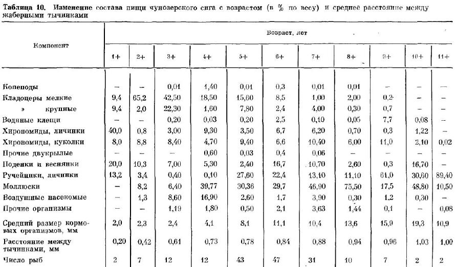 Изменение состава пищи чунозерского сига с возрастом (в % по весу) и среднее расстояние между жаберными тычинками