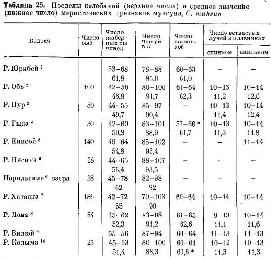 Пределы колебаний (верхние числа) и среднее значение (нижнее число) меристических признаков муксуна, с. muksun