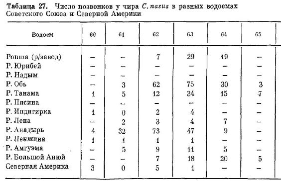 Число позвонков у чира С. nasus в разных водоемах Советского Союза и Северной Америки