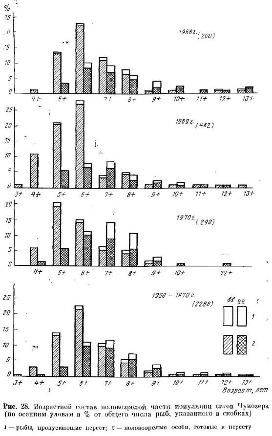 Возрастной состав половозрелой частiк нуляции сигов Чунозера (по осенним умовам в % от общего числа рыб, указанного в скобках) 