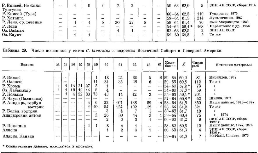 Число позвонков у сигов С. lazaretus в водоемах Восточной Сибири и Северной Америки 