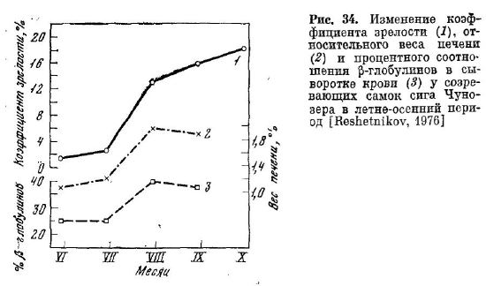Изменение коэффициента зрелости (1), относительного веса печени (2) и процентного соотношения р-глобулинов в сыворотке крови (3) у созревающих самок сигa Чуно зера в летне-осенний период