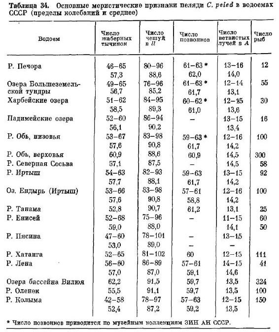 Основные меристические признаки пеляди . peled в водоемах СССР (пределы колебаний и среднее)