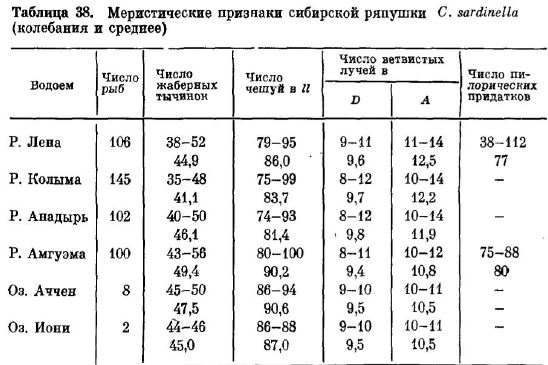 Меристические признаки сибирской ряпушки с. sardinella (колебания и среднее)