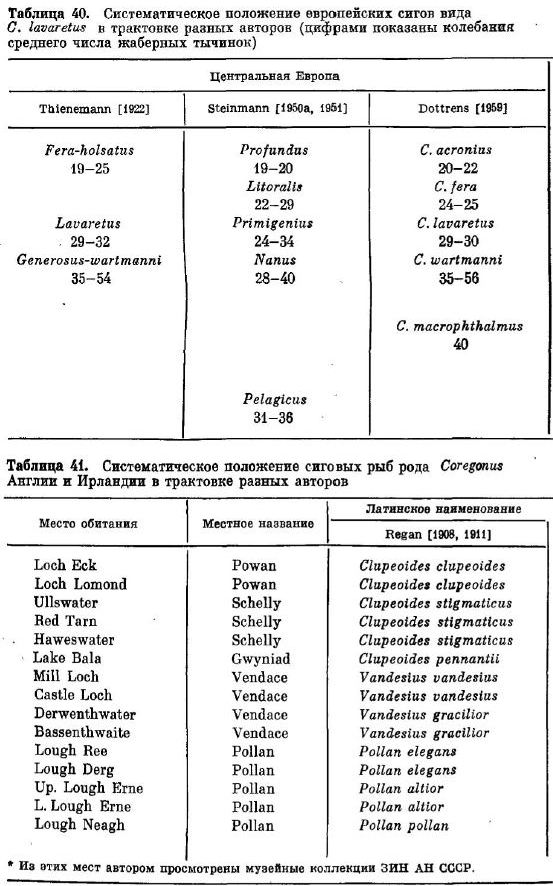Систематическое положение европейских сигов вида C. lavaretus