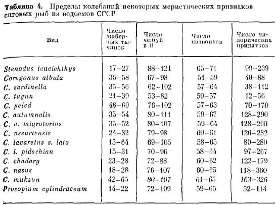 Пределы колебаний некоторых меристических признаков сиговых рыб из водоемов СССР