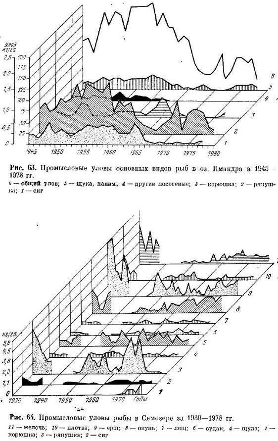 Промысловые уловы основных видов рыб в оз. Имандра в 1945— 1978 гг