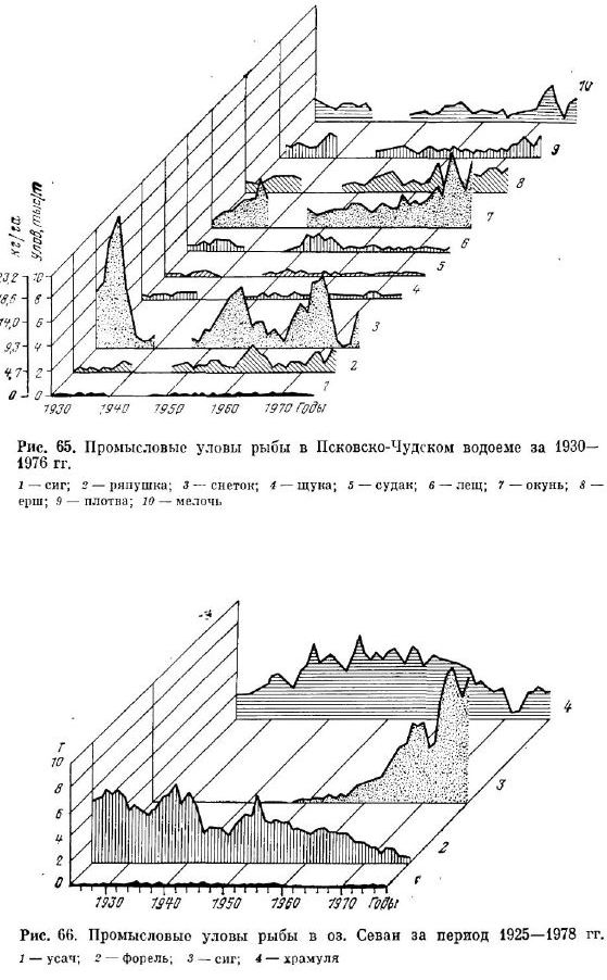 Промысловые уловы рыбы в Псковско-Чудском водоеме за 1930 1976 гг
